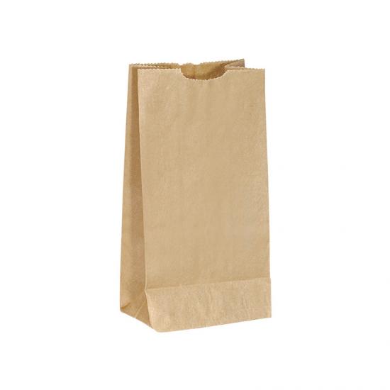 Brown Kraft Paper Gift Bags