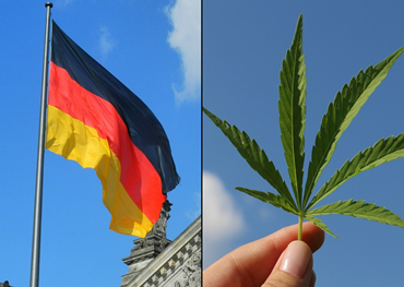 deutschland's die nächste regierung will freizeit-cannabis legalisieren
