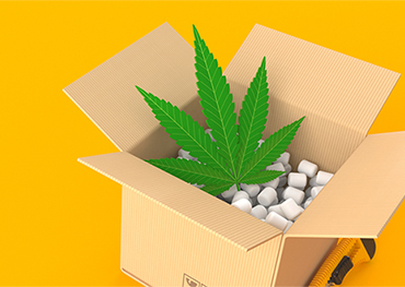 Es wird erwartet, dass die Cannabisverpackungsindustrie bis 2025 einen Marktwert von rund 20,41 Milliarden USD erreichen wird