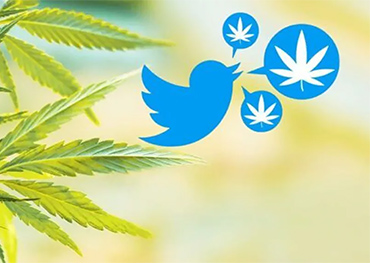 Twitter erlaubt Werbung für Cannabis