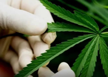 Laos erklärt medizinische Behandlung mit Marihuana und CBD für legal! Zugelassene Produktion und Vertrieb von Marihuana, CBD-Kosmetik und Getränken für medizinische Zwecke