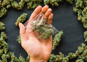 Globaler Marktbericht für Cannabisverpackungen 2021