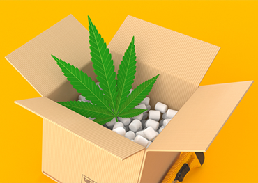 Strengere Vorschriften für die Verpackung von mit Marihuana angereicherten Esswaren