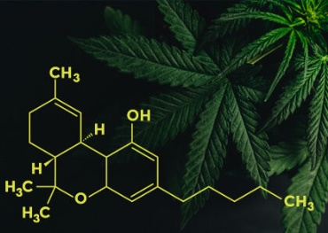 Repräsentantenhaus von Pennsylvania verabschiedet Gesetz zur Legalisierung von Freizeitmarihuana