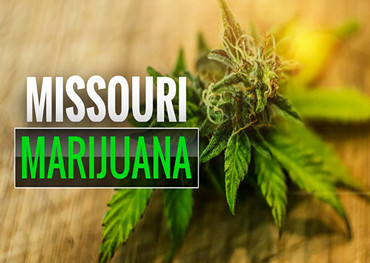 Die Cannabis-Regulierungsbehörden von Missouri erläutern Pläne für die Lizenzierung von Kleinstunternehmen