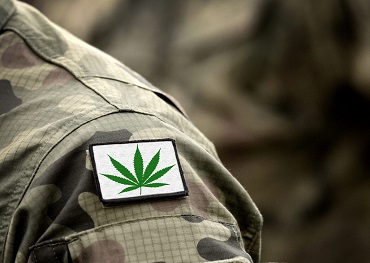 Ausschuss des Repräsentantenhauses erwägt ein Forschungsgesetz über die Vorteile von medizinischem Marihuana für Veteranen