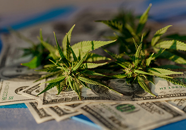 Immer mehr Staaten stellen Cannabissteuereinnahmen für soziale Gerechtigkeit bereit
    
