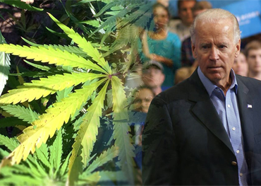 nach der Wahl Joe Biden fördert wahrscheinlich die Legalisierung von Cannabis auf Bundesebene