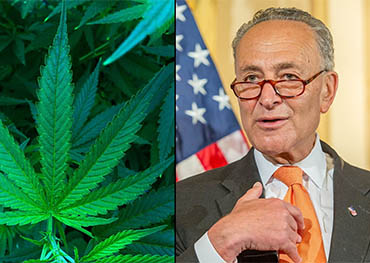 Die Legalisierung von Cannabis auf Bundesebene rückt näher !u.S.Senatsdemokraten bringen Gesetzesentwurf zur Legalisierung von Gras vor
