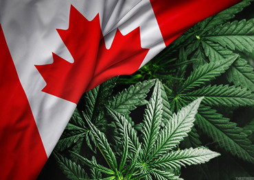 Kanadischer Cannabis-Markt