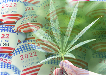 US Midterms Einfluss auf die Legalisierung von Marihuana USA auf der Abstimmung in fünf Bundesstaaten