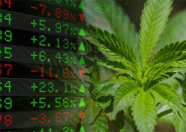 Cannabis-Verpackungen Amerikanische Cannabis-Aktien erweitert groß 2020 Gewinne durch Steigen 23% Im Januar 2021 