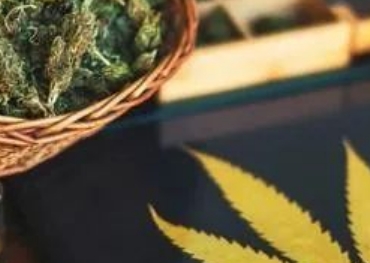 Verkauf eines neuen Getränks im Wert von 310.000 Dollar pro Woche! Diese Marke eroberte den US-Markt über TikTok mit Marihuana-Zutaten