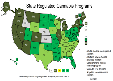 Staatliche medizinische Marihuana-Gesetze