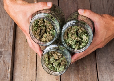 Möglichkeiten für Cannabis-Einzelhändler, den ROI durch Investitionen in Verpackungen zu steigern