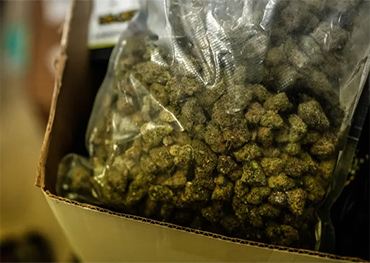 Gesetzentwurf des New Yorker Stadtrats würde die Adams-Administration verpflichten, regelmäßig Daten zur Durchsetzung der Cannabisgesetze offenzulegen